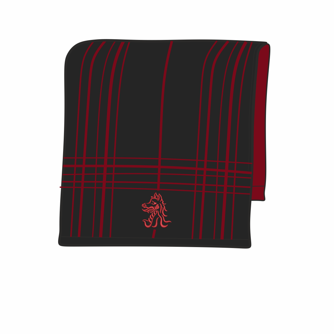 Beech Hall School Scarf
